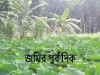 কৃষি / অকৃষি